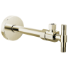 Polished Nickel