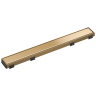Polished Gold