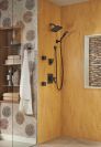 DELTA Dryden Monitor 17 Series Shower Trim — Venetian Bronze