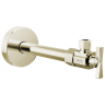 Polished Nickel