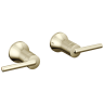 Polished Nickel