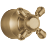 Champagne Bronze