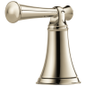 Polished Nickel