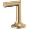 Luxe Gold