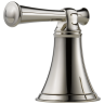 Polished Nickel