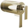 Polished Nickel
