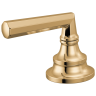 Polished Gold