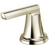 Polished Nickel