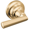 Polished Gold