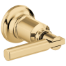 Polished Gold