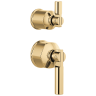 Polished Gold