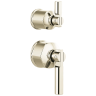 Polished Nickel