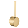 Polished Gold