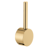 Polished Gold