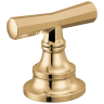 Polished Gold
