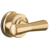 Polished Gold