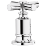 Chrome