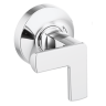 Chrome