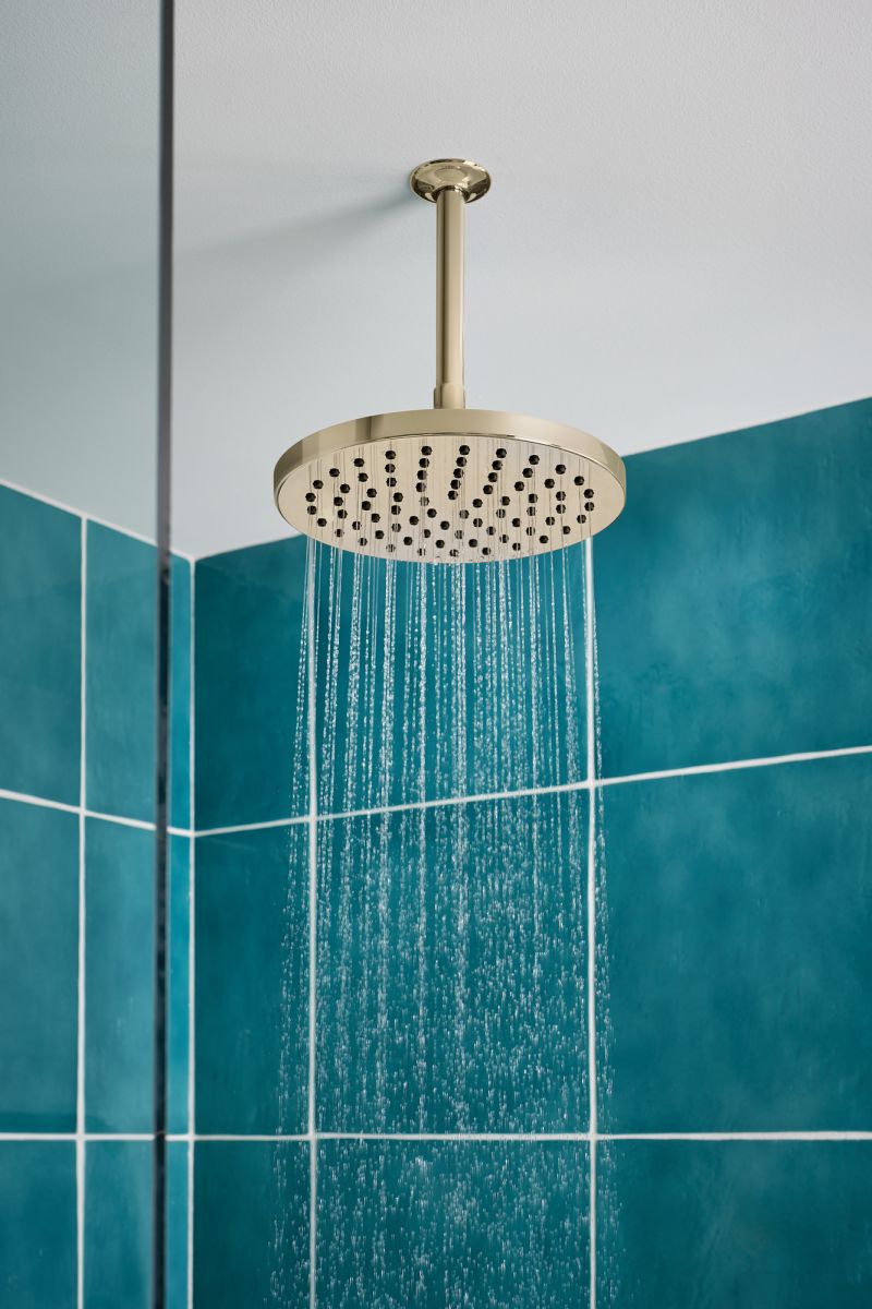 BRIZO Essential Shower 6" Ceiling Mount Shower Arm And Round Flange — Polished Nickel