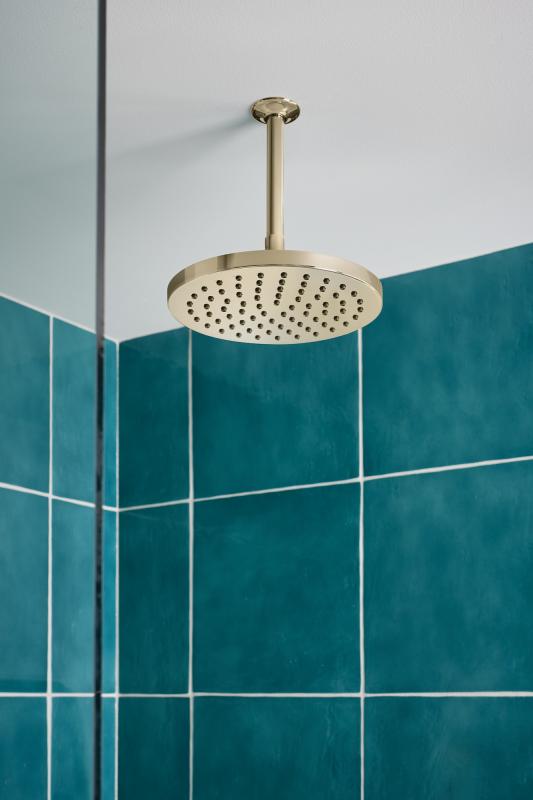 BRIZO Essential Shower 6" Ceiling Mount Shower Arm And Round Flange — Polished Nickel