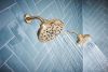 BRIZO Levoir H2OKINETIC Round Multi-Function Showerhead — Luxe Gold