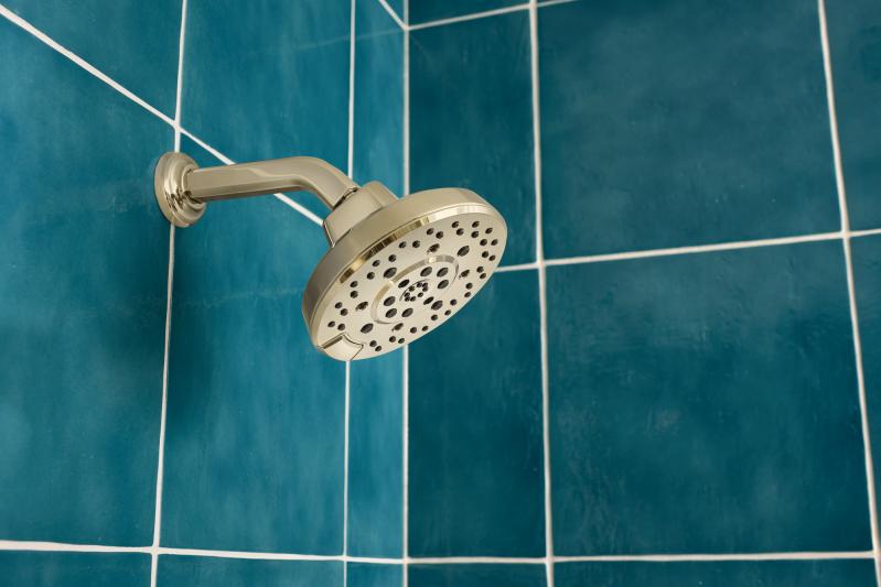 BRIZO Levoir H2OKINETIC Round Multi-Function Showerhead — Polished Nickel