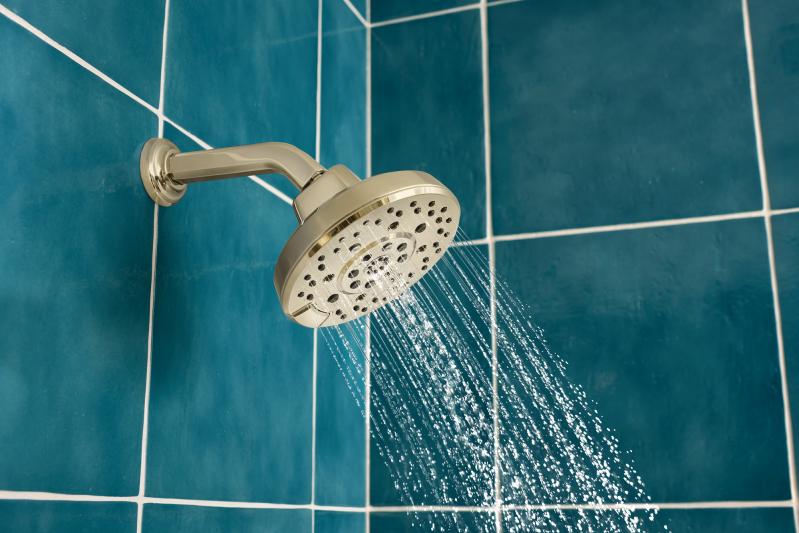 BRIZO Levoir H2OKINETIC Round Multi-Function Showerhead — Polished Nickel