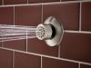 BRIZO Other Hydrachoice Touch-Clean Spray Head — Luxe Nickel