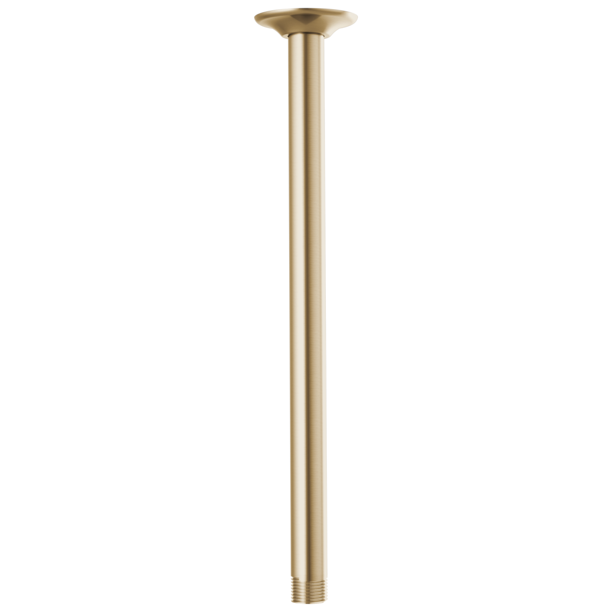 BRIZO Essential Shower 14" Ceiling Mount Shower Arm And Round Flange — Luxe Gold