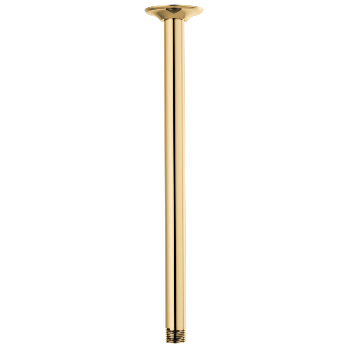 BRIZO Essential Shower 14" Ceiling Mount Shower Arm And Round Flange — Polished Gold