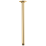 Polished Gold