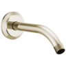 Polished Nickel