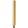 Polished Gold