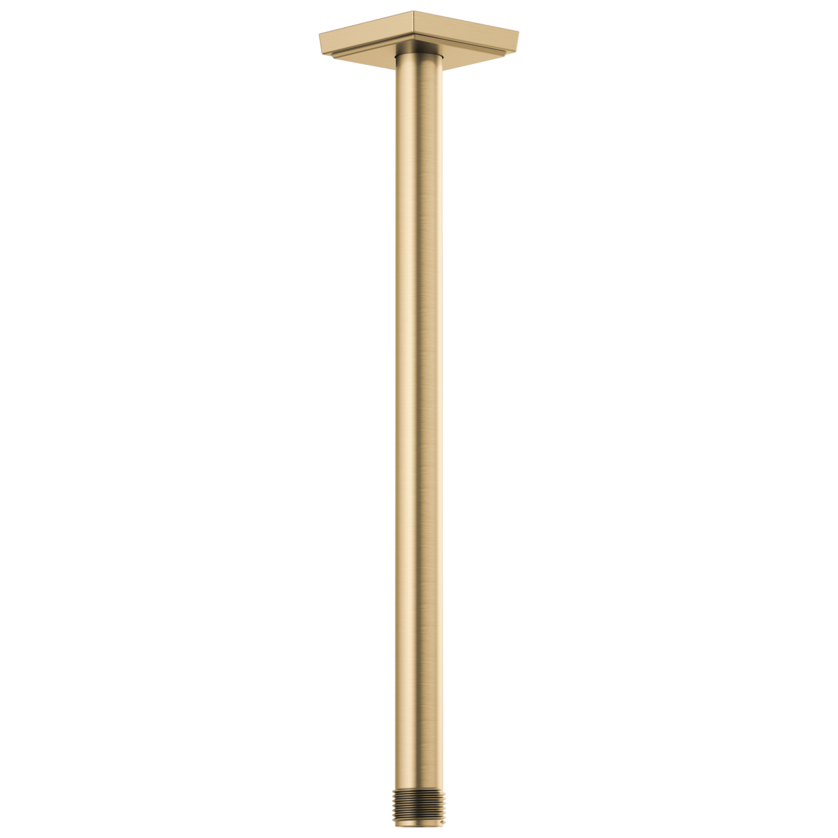 BRIZO Essential Shower 14" Ceiling Mount Shower Arm And Square Flange — Luxe Gold