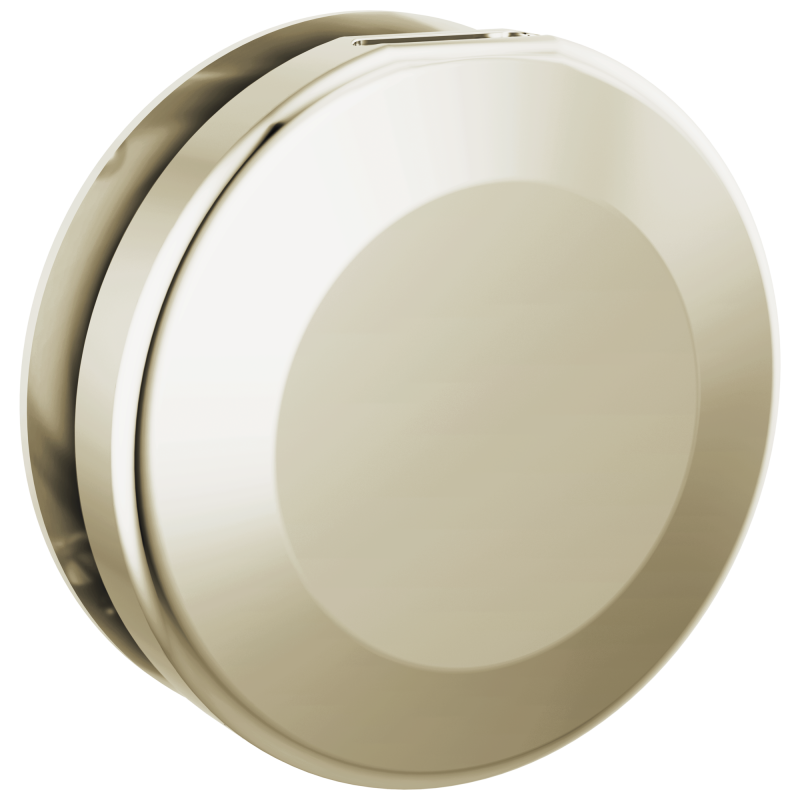 DELTA Universal Showering Components Round Steam Head — Lumicoat® Polished Nickel