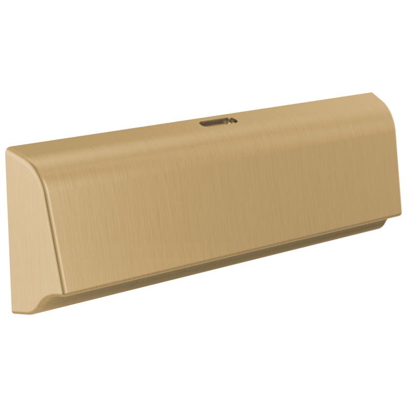 DELTA Universal Showering Components Unilateral Steam Head — Lumicoat® Champagne Bronze