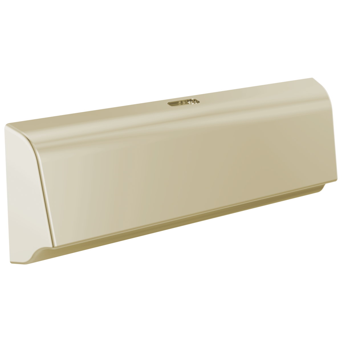 DELTA Universal Showering Components Unilateral Steam Head — Lumicoat® Polished Nickel