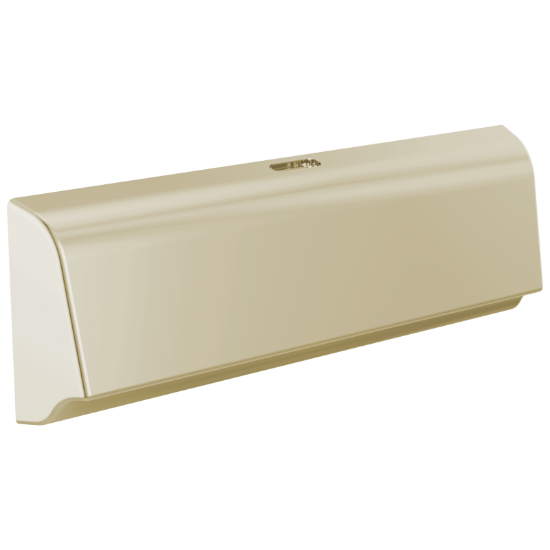 DELTA Universal Showering Components Unilateral Steam Head — Lumicoat® Polished Nickel