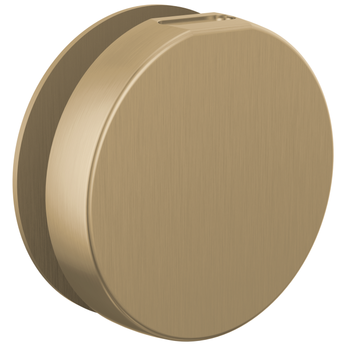 BRIZO Other Mystix Round Steam Head — Luxe Gold