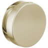Polished Nickel