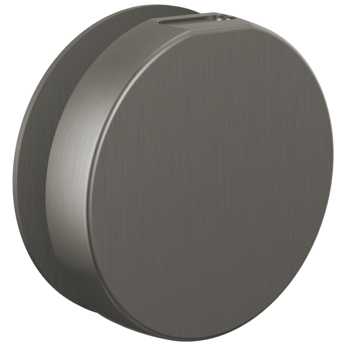 BRIZO Other Mystix Round Steam Head — Luxe Steel