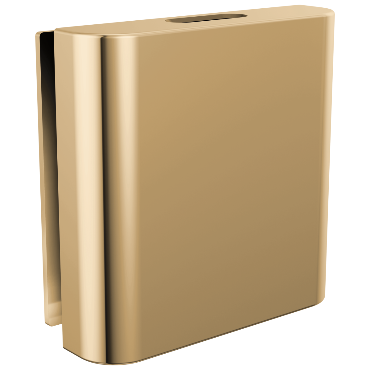BRIZO Other Mystix Classic Square Steam Head — Polished Gold