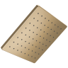Champagne Bronze