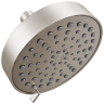 Spotshield Brushed Nickel