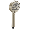 Spotshield Brushed Nickel