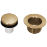 Champagne Bronze