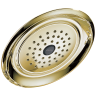 Polished Brass