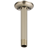 Polished Nickel