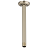 Polished Nickel