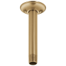 Champagne Bronze